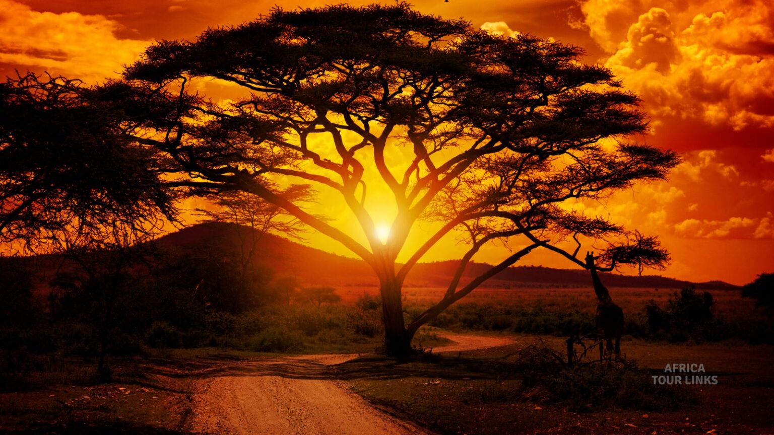 When Is the Best Time to Travel to Africa?