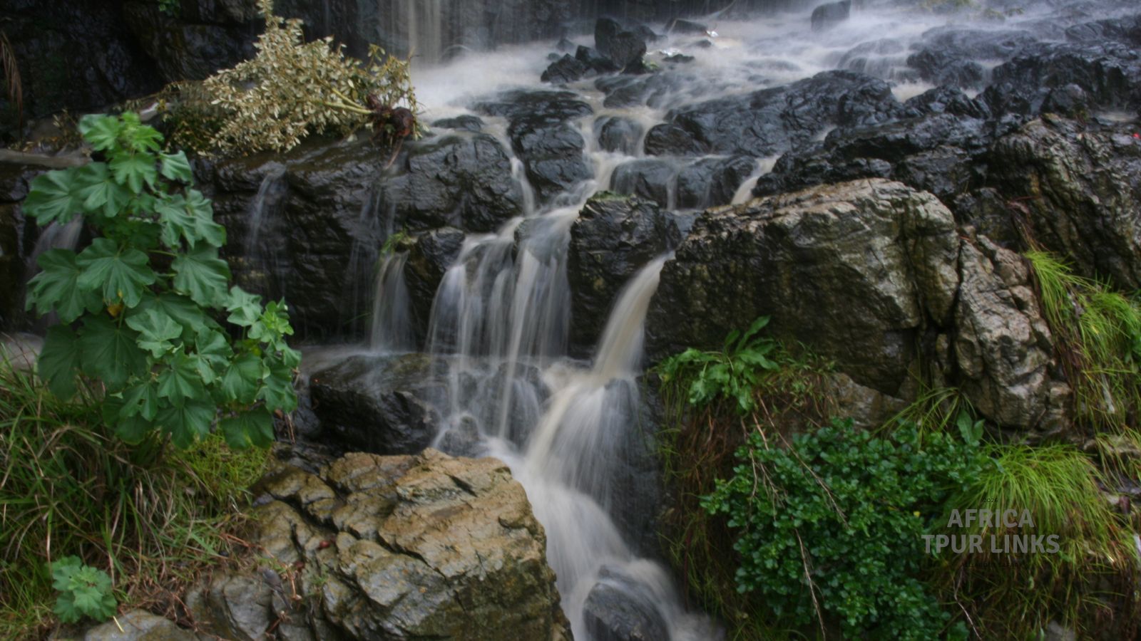 Nationalpark31