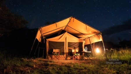 13 Days Lemosho Climb and Safari