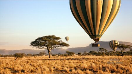 6 Days Family Safaris and Culture Tour