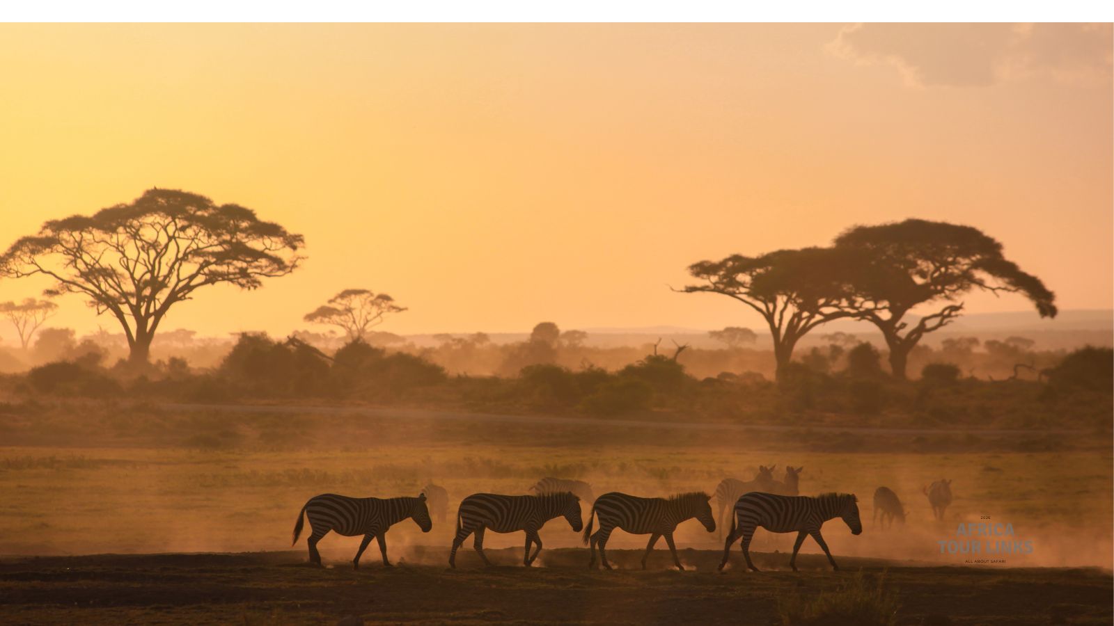 Wildlife-Africa-