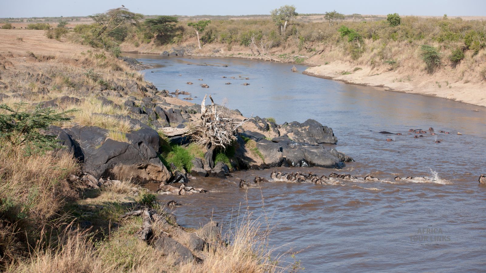 Wildlife-Africa-12