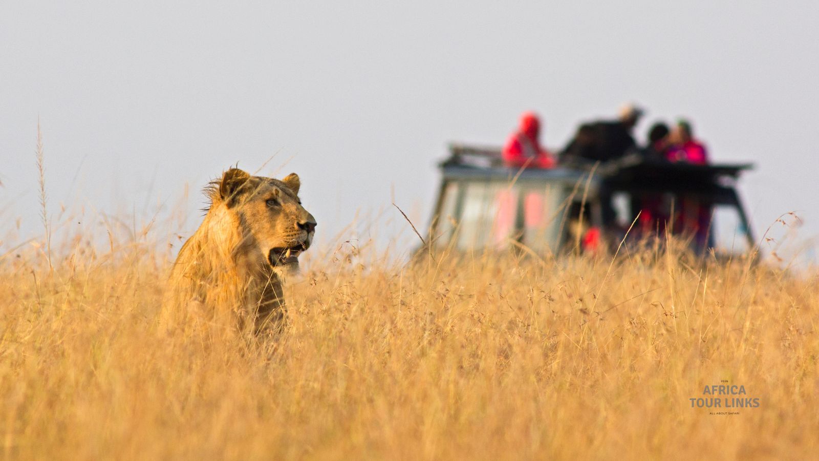 Wildlife-Africa-31-1
