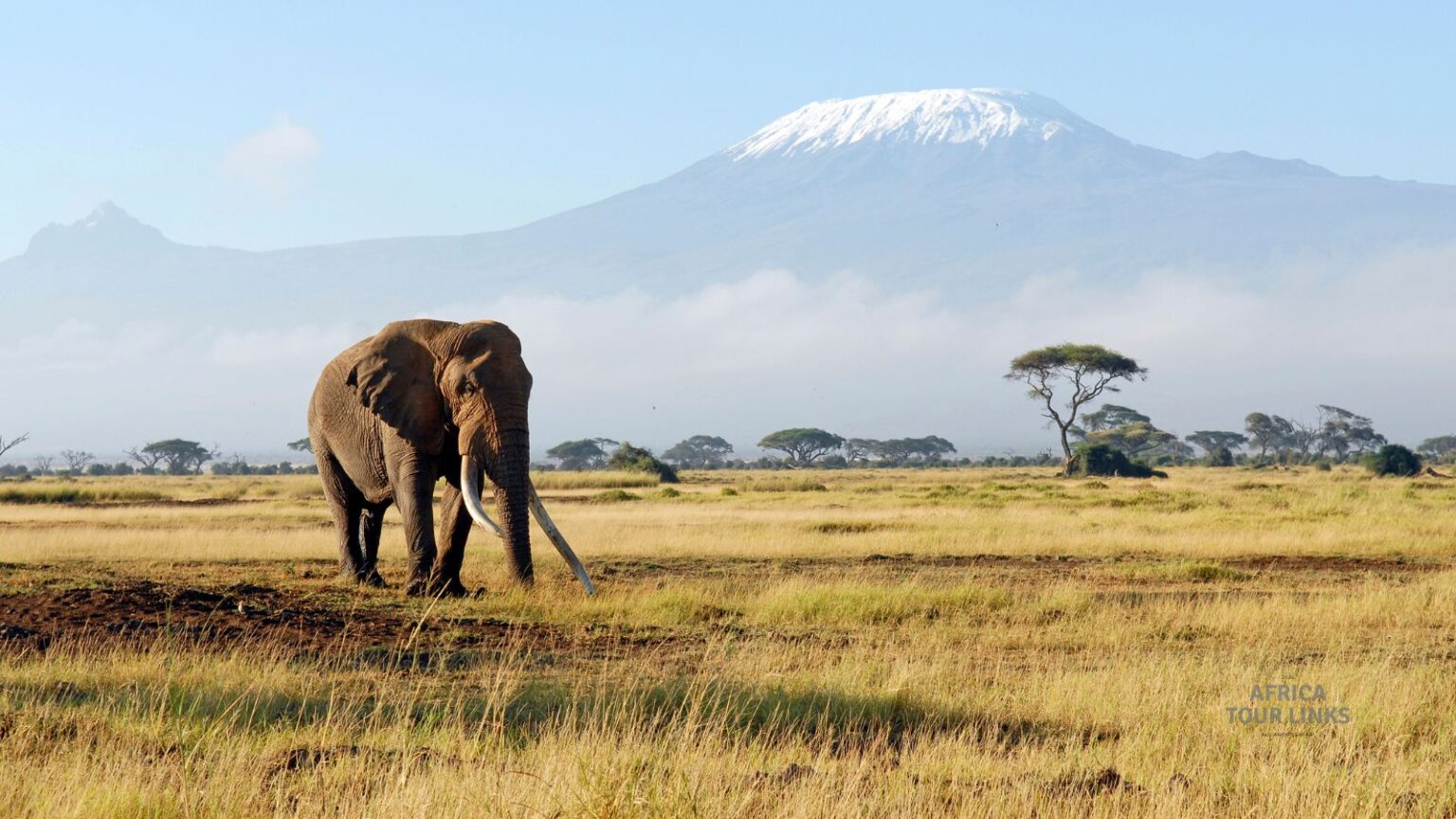 Wildlife-Africa-45