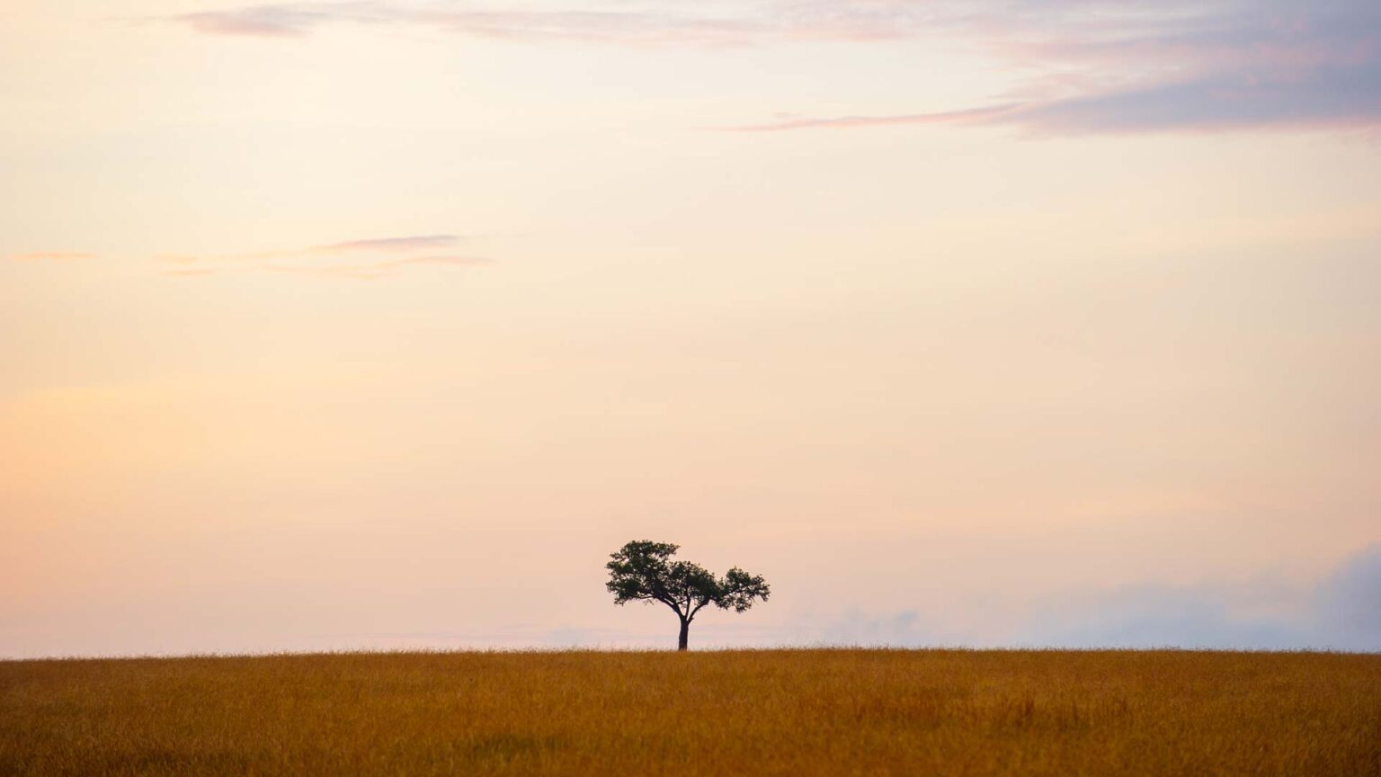 Kati-Kati-Mara-Tented-Camp-10