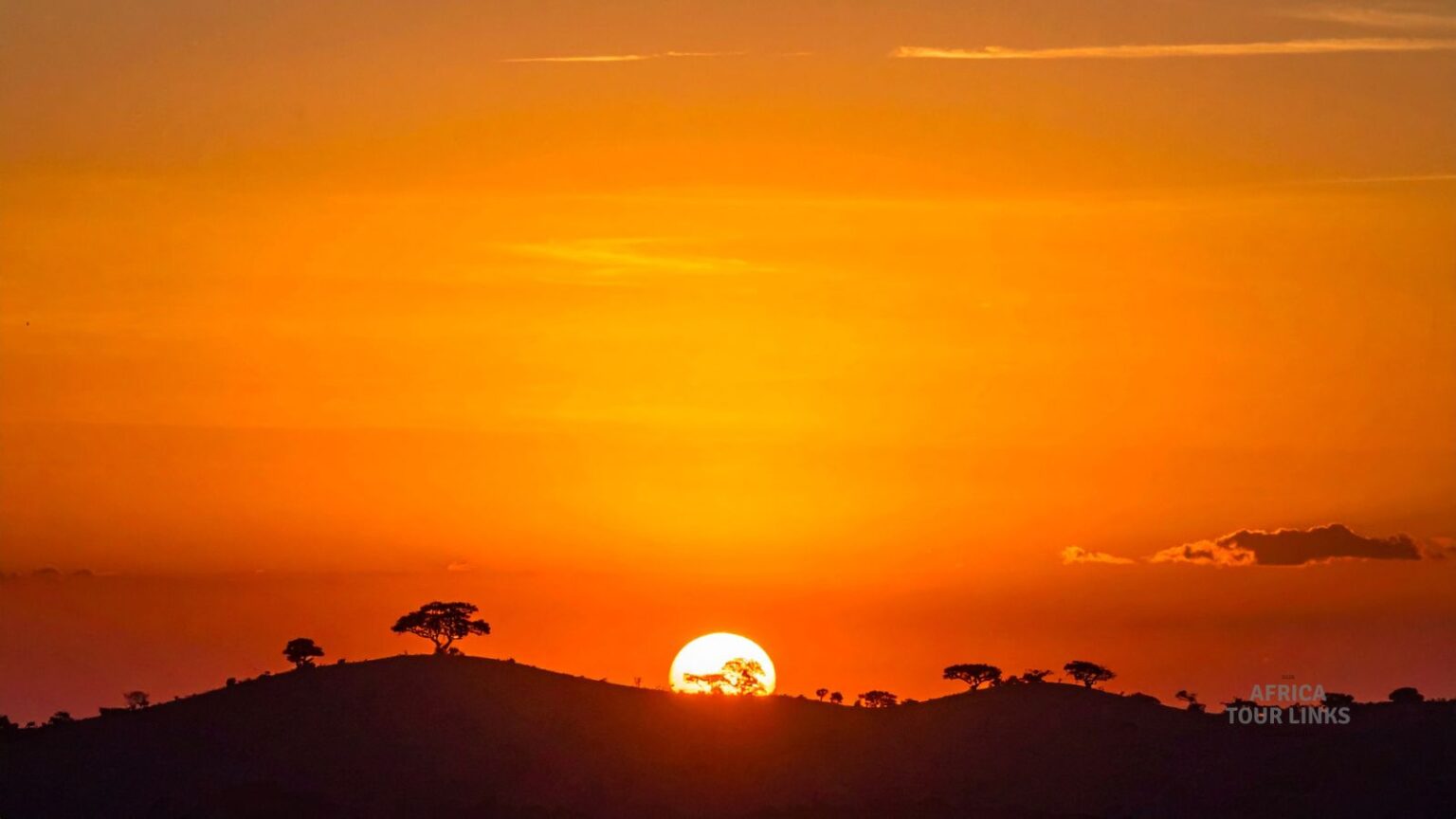 Wildlife-Africa-10