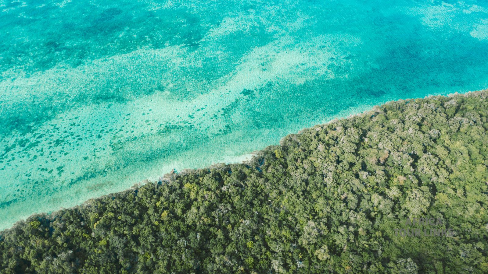 Zanzibar Travel Guide : Beaches, Culture & Island Adventures