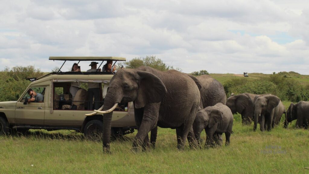 Tanzania Safari: Best National Parks, Wildlife & Travel Guide