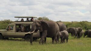 Tanzania Safari: Best National Parks, Wildlife & Travel Guide
