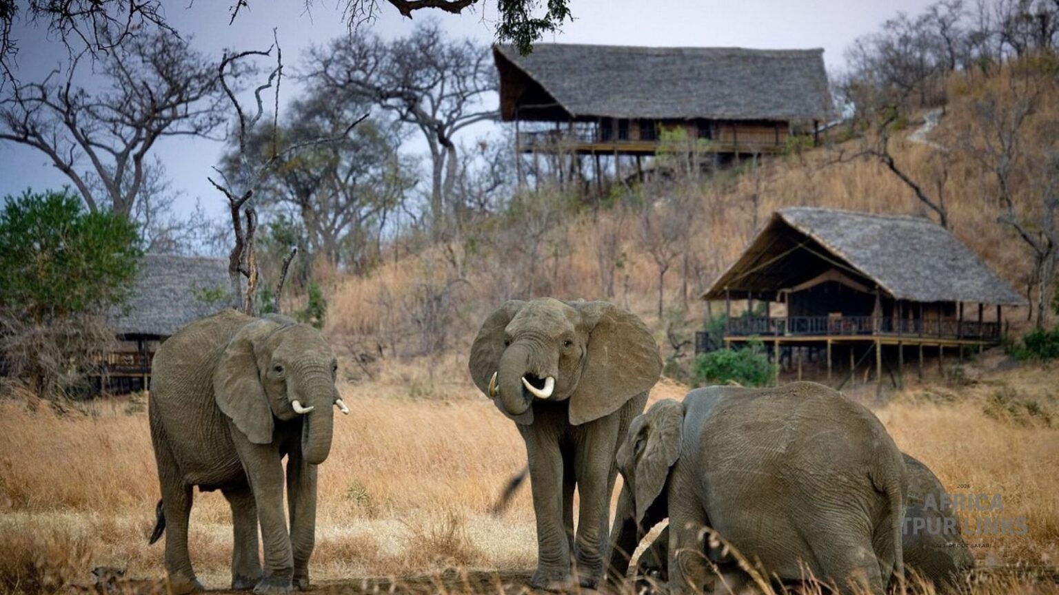 Nationalpark6