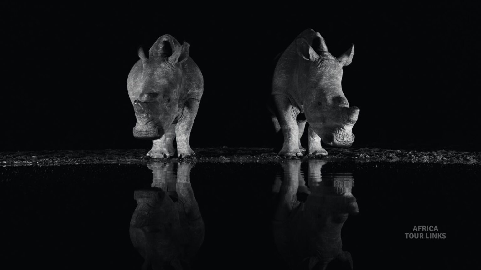 Wildlife Africa (5)